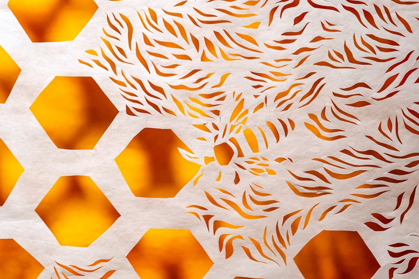 detailed view of hand-cut white tyvek with patterns of bees and honeycombs overlaying orange